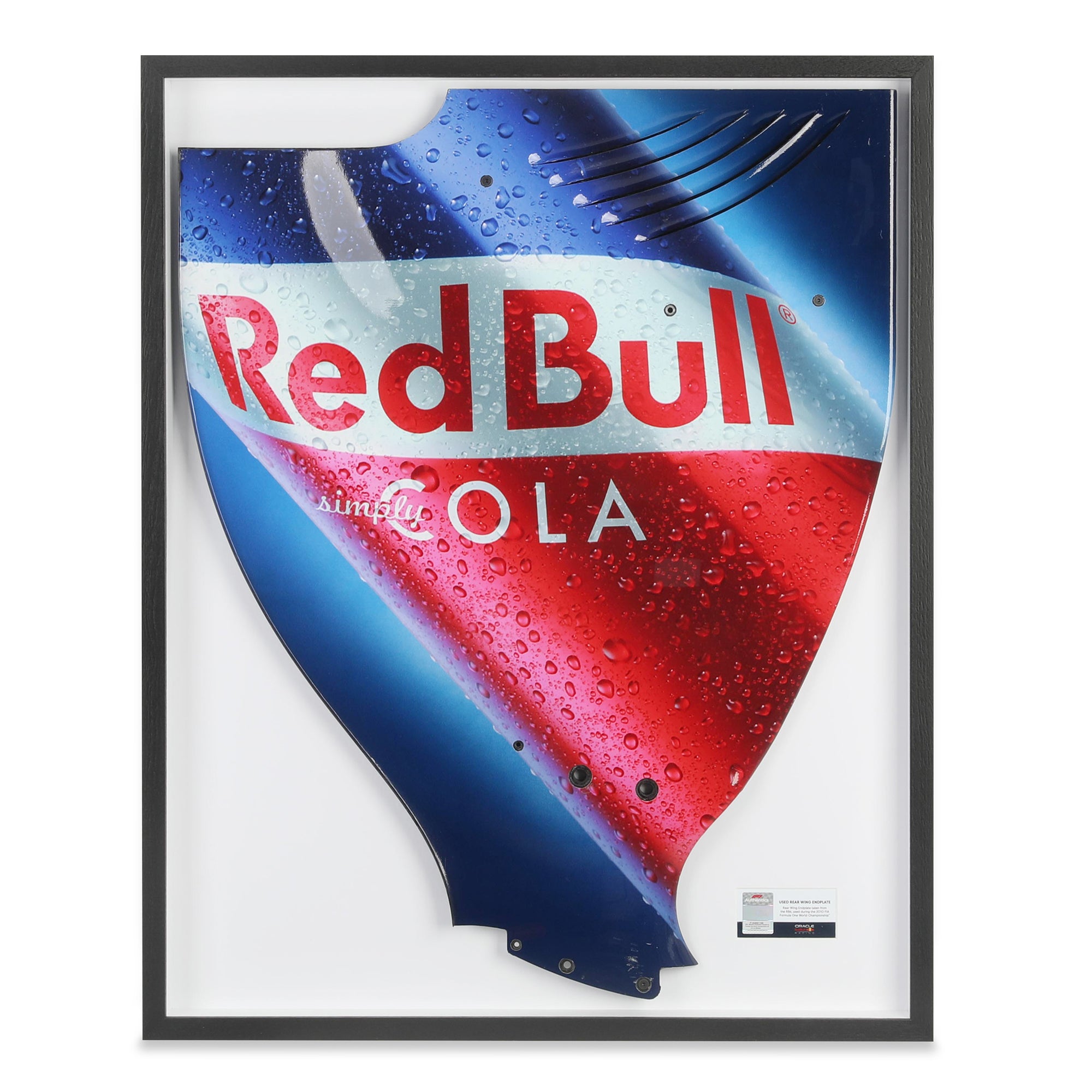 Red Bull Racing RB6 2010 Framed Season Used Right Hand Rear Wing ...